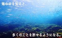 大好評！海好き・ダイビング好き交流会！☆★まだまだ暑い！～♪海好き集まれ～♪