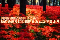 秋の始まりに巾着田をみんなで見よう！