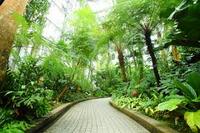 京都植物園に写真を撮りに行こう