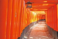 【京都歴史巡り】そうだ 伏見稲荷大社、行こう。