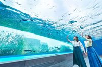【サンシャイン水族館】一緒に水族館行きませんか？