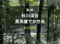 【40代以上がメイン】秋川渓谷の黒茶屋でせせらぎを聞きながらかき氷を楽しみましょう