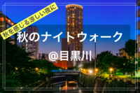 【季節を楽しむひととき@東京映えスポット✨🌃】@目黒川ナイトウォーク （中目黒〜目黒）