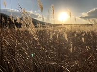 曽爾高原でゆっくりしながら撮影会