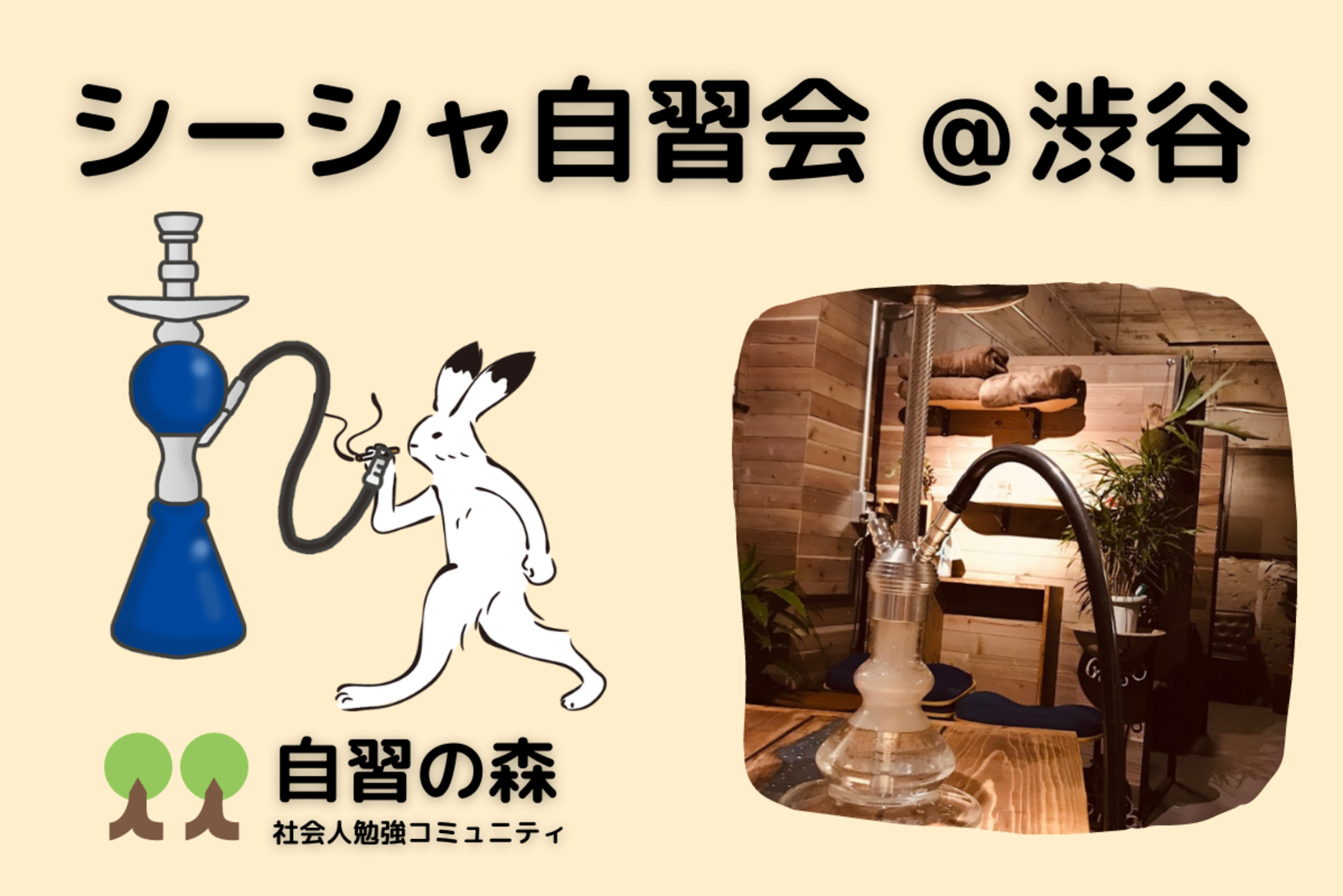 シーシャ自習会＠渋谷 みんなでチルりながら自習しましょう