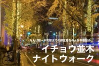 【イチョウ並木・ナイトウォーク】なんば駅〜本町駅までの御堂筋をのんびり夜散歩。