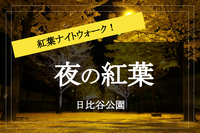 【日比谷公園×紅葉ナイトウォーク】日比谷公園で夜の紅葉を楽しもう！