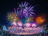 成田花火大会（花火の中に入る感覚になれる唯一の花火）