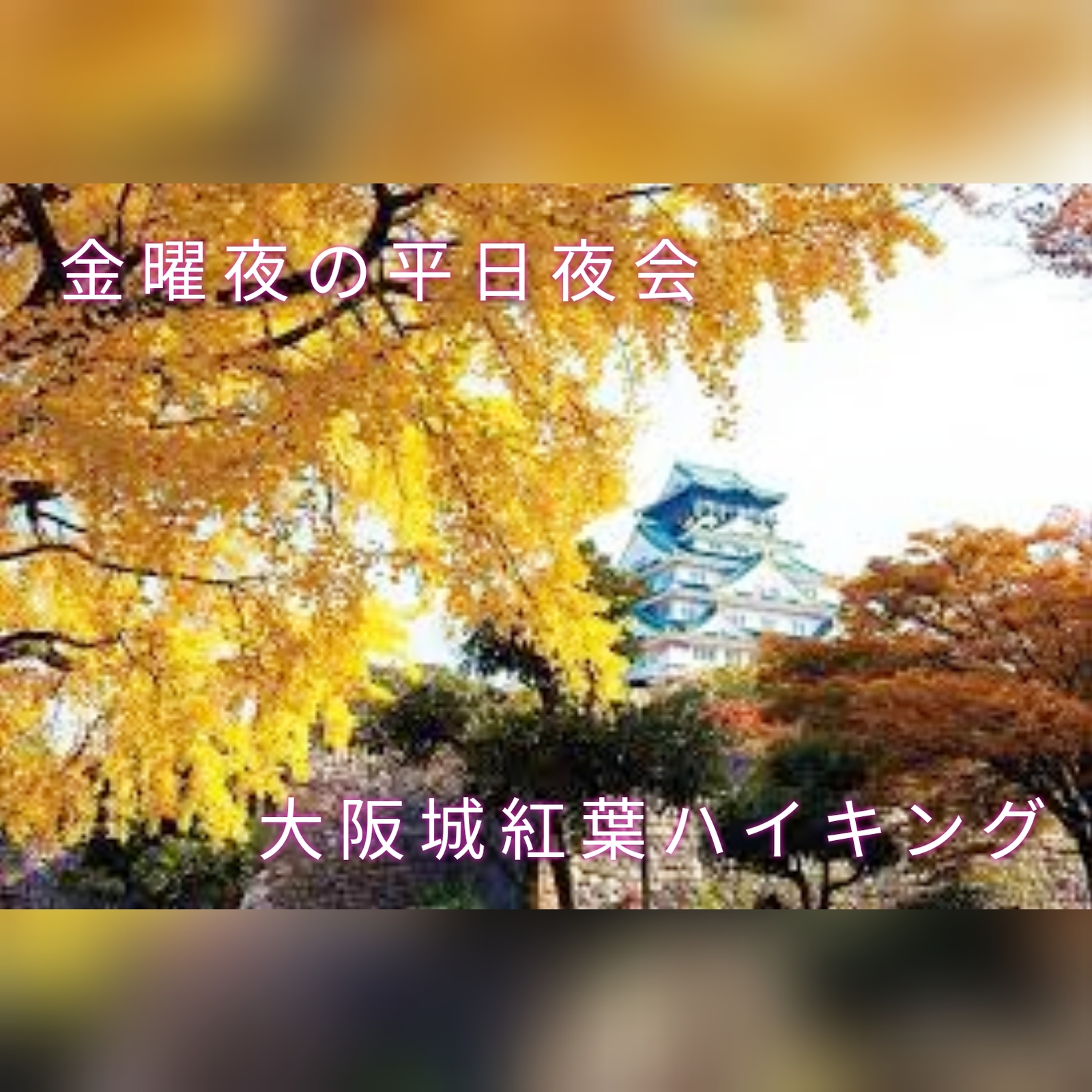 ✨現在5人　11/18（金）　20時～✨🎉🎉第2回開催決定🥰大阪城公園平日ナイト紅葉ハイキング交流会🥰