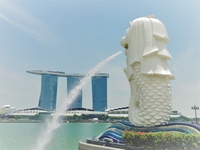 シンガポール料理を食べよう！🇸🇬大丸梅田！ランチタイム開催！