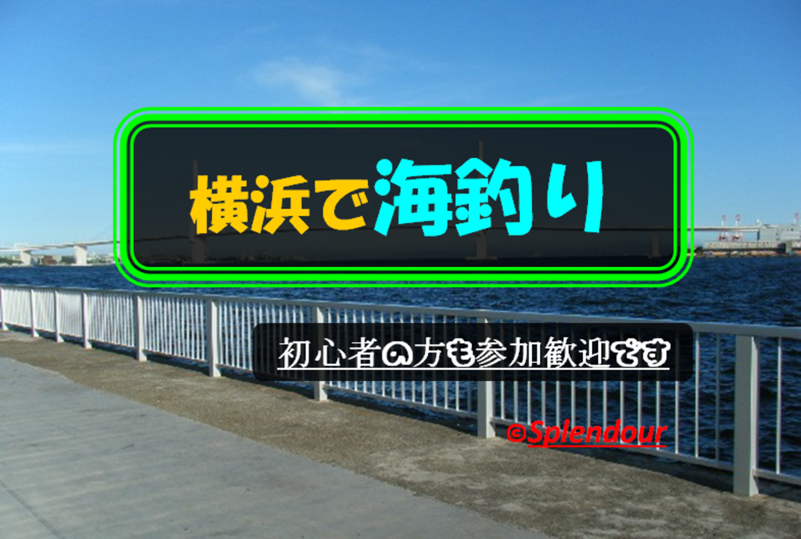 初心者の方も大歓迎🔰11／06(日)12:20〜18:00横浜で海釣り🎣
