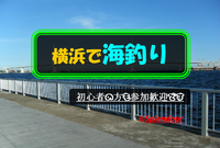 初心者の方も大歓迎🔰11／06(日)12:20〜18:00横浜で海釣り🎣