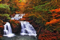 紅葉🍁カメラ持ってお出かけ✨