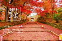 【完売】季節を感じるぶら旅　in 京都山科