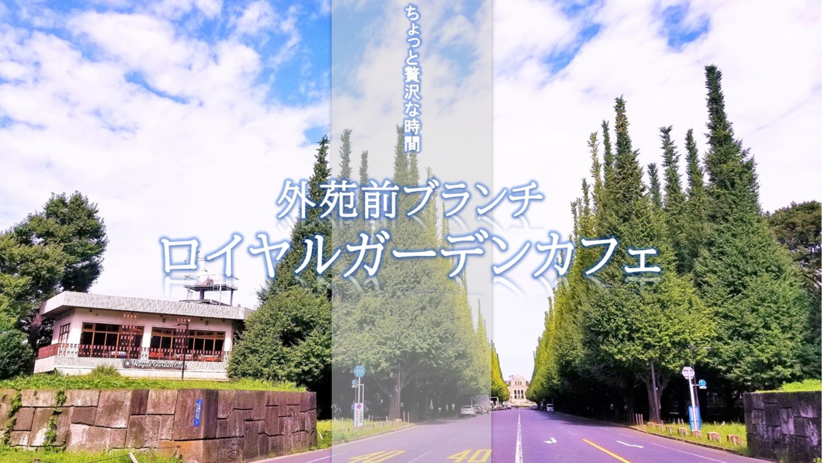 イチョウ並木  秋の外苑前ブランチ ロイヤルガーデンカフェ　【アラサー30代アラフォー40代前半 歓迎！】