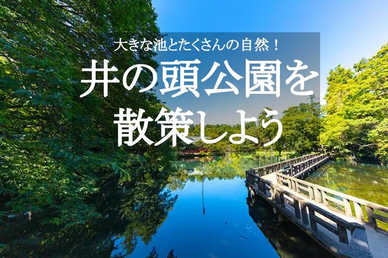 【井の頭公園を散策！】大きな池のほとりを気持ちよく、みんなでわいわい歩こう！