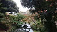 谷根千カフェ ＆ 六義園紅葉散策