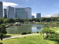 ⚠️雨天が見込まれる為中止⚠️【20代前半主催】秋だ！浜離宮恩賜公園・築地市場巡り
