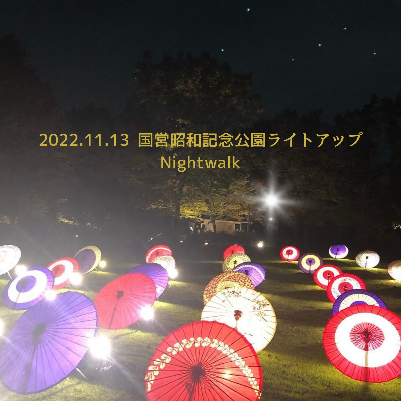 20代限定企画❗️国営昭和記念公園の紅葉ライトアップ🍁フォトウォーク📷🚶‍♂️
