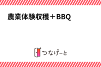🍠🥦レッツ農業支援🍅体験収穫＋BBQ🍖