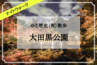 【雨天決行】紅葉ライトアップ ー 水面に映し出される紅葉が幻想的な世界を作り出す大田黒公園散歩