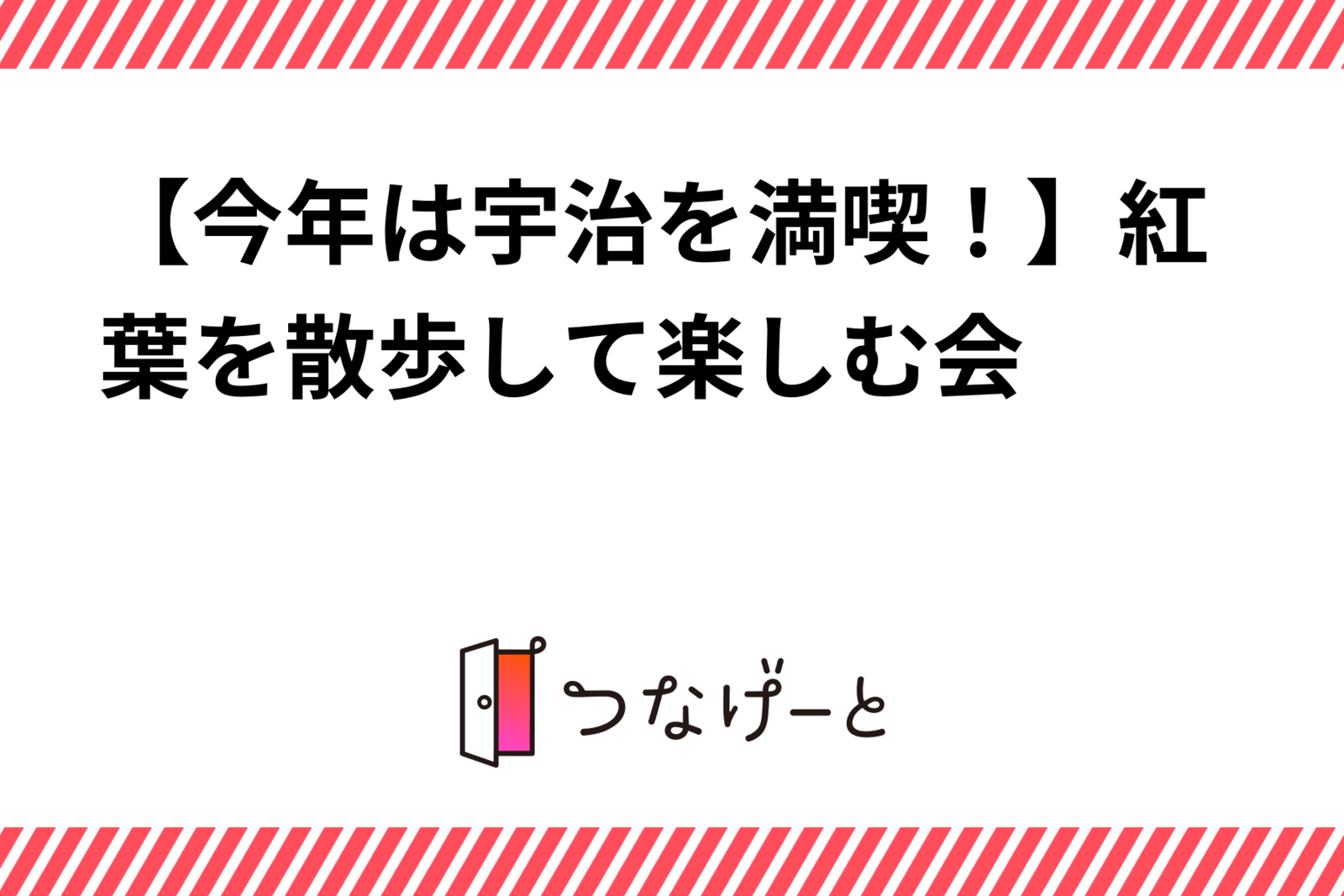 【今年は宇治を満喫！】紅葉をお散歩カメラ📷