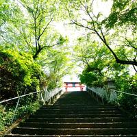 【現在16名、残席1名】年末特別企画！Road to 高野山！巡礼への誘い