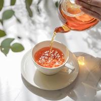 【女性限定】紅茶イベント行きましょう！