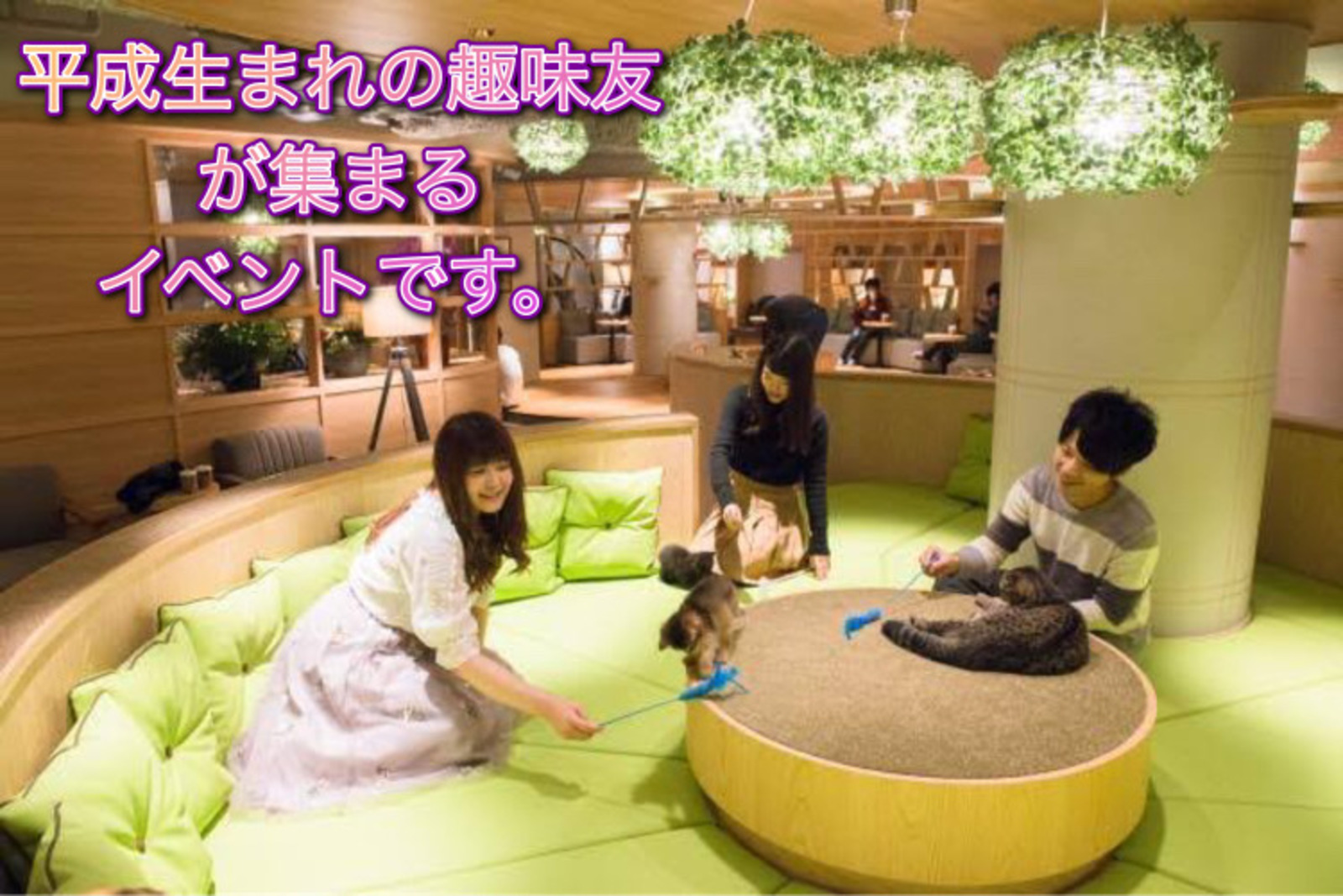 カフェ会が苦手な人でも安心クリスマス誰かと過ごしたい猫カフェモカ新宿で趣味友づくり偏愛マップ【平成生まれ限定】