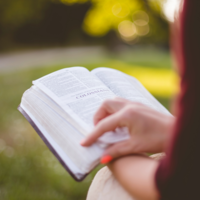 追加募集✨ 読書会(絵本編)📖 11/23(水)16:30～18:00 