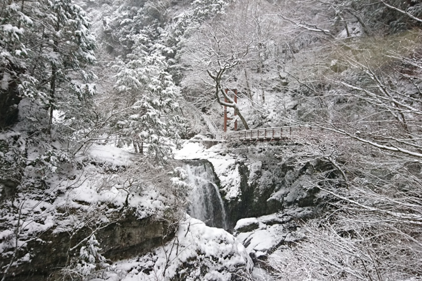【2月11日(祝)】みたらい渓谷 ～雪原と賞味期限1時間の人気モンブラン～