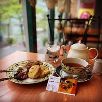 【20代30代限定】紅茶専門店へ行こう🍁第2弾