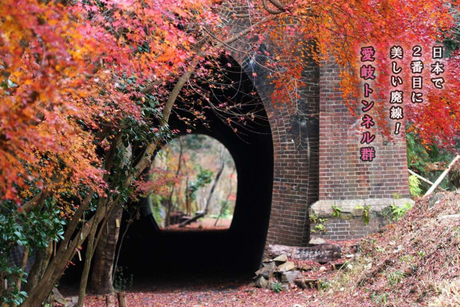 12/4(日曜)【名古屋～愛岐・定光寺】毎月開催の12月は「紅葉トンネル」を満喫♪【ネクステdeお花見会】