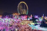 みんなでイルミネーションを見に行こう！