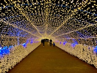 【日帰り】 相模湖イルミネーションを満喫しよう 🥢