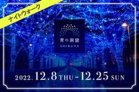 3年ぶりの「青の洞窟 SHIBUYA」で写真と散歩を楽しみましょう！