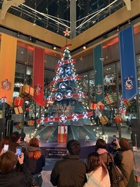 【20代前半主催】イルミネーションでクリスマスを楽しもう！