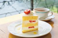 手作りケーキ×浅草！リバーサイドでまったり😃