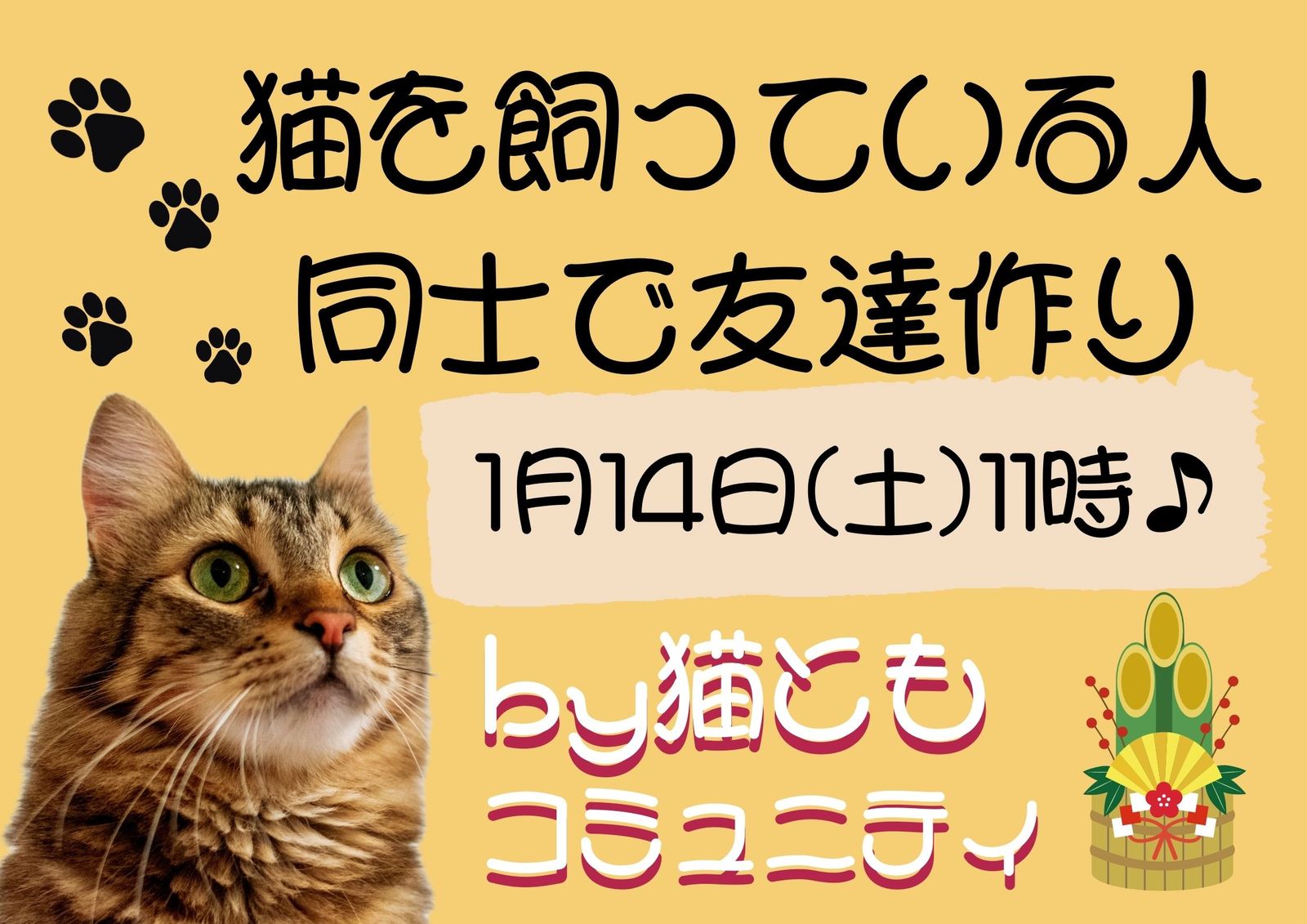 🐱猫を飼っている人同士で友だち作り☕️