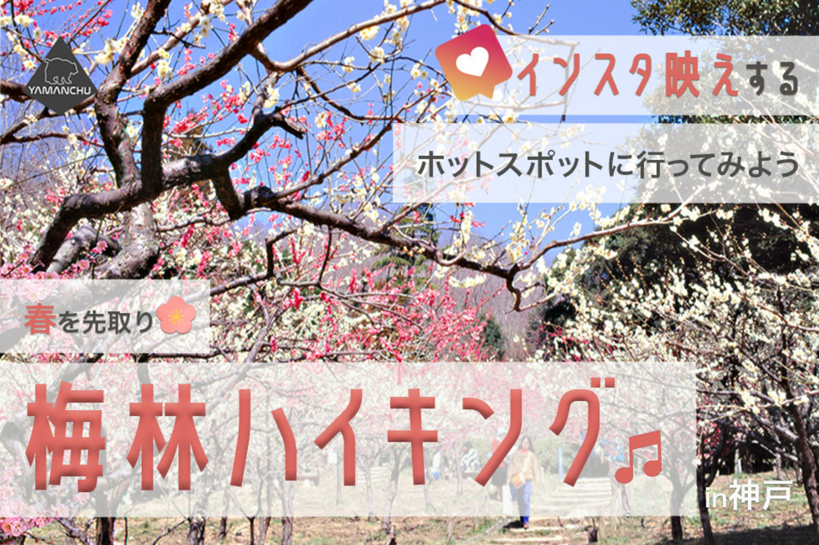 【今晩〆切】春を先取り！インスタ映えするホットスポットにお出かけしよう！梅林ハイキングツアーin神戸