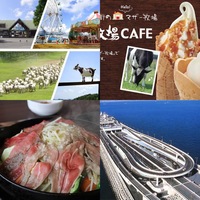 マザー牧場に行こう(千葉、出発は東京) ※木更津駅集合も可！