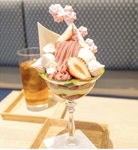 インスタ映え🍓美味しい抹茶パフェを食べに行こう꒰ 🍵 ꒱