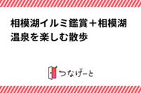 相模湖イルミ鑑賞＋相模湖温泉を楽しむ散歩