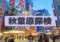 オランダ人クレアと秋葉原散策をしよう*人数達成。開催します