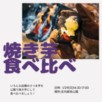 【🍠公園で焼き芋食べ比べ🍠】