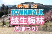 【TOWN WALK】埼玉県越生町の「関東三大梅林」に梅の花を見に行きグルメも楽しもう！