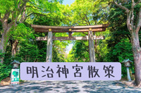 [女性主催]国際交流あり！みんなで明治神宮を散策しよう！初詣終わってない方も是非