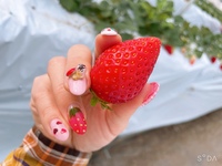 2/4(土曜)【名古屋～南知多】季節毎開催!冬は定番いちご狩り♪★ストロベリーPartyで★【ネクステdeいちご狩り会】