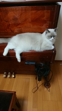 2023.2月 練習会(桑名市)