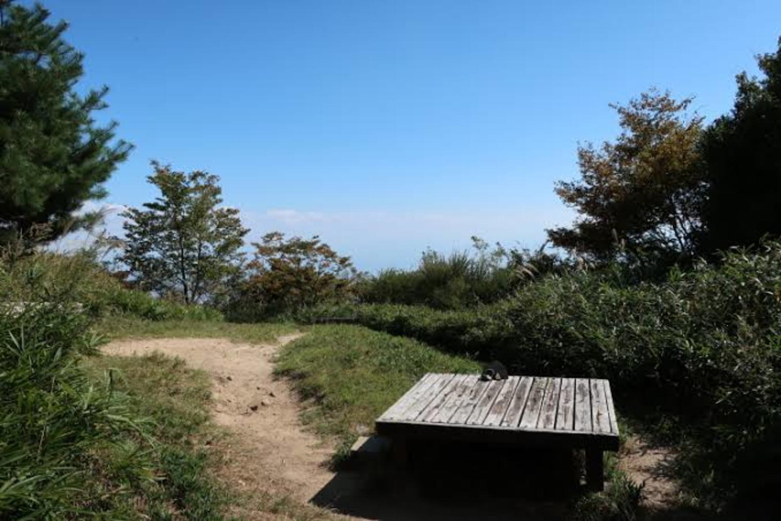 油コブシ六甲山でハイキングしませんか？